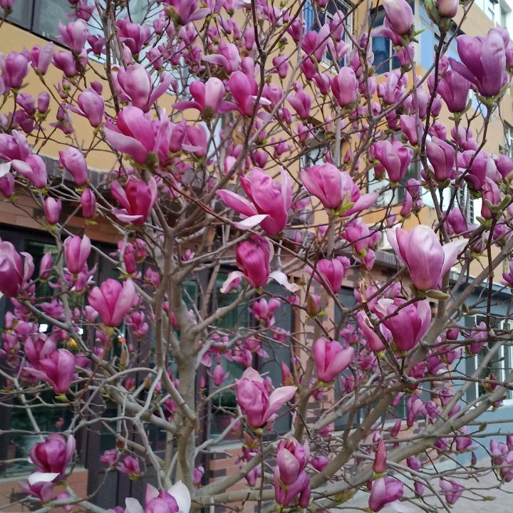 花好月圆12346