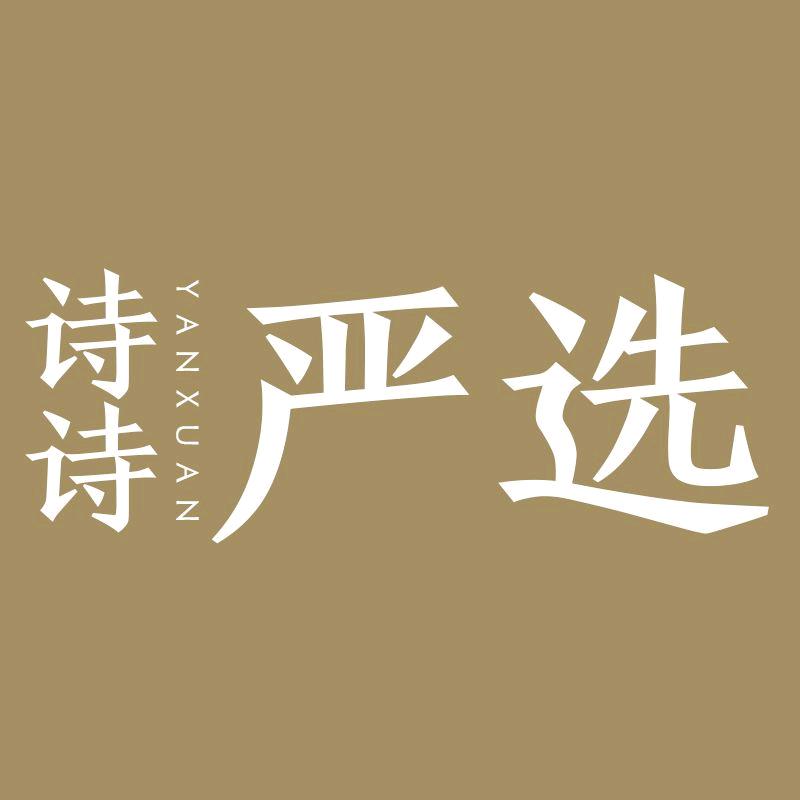 诗诗严选金启专卖店