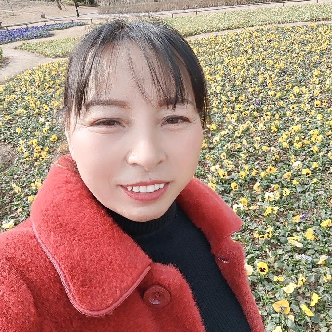 浪漫的邂逅