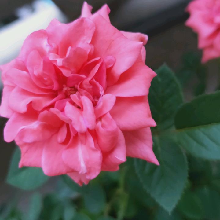 嘉兴启富服饰有限公司