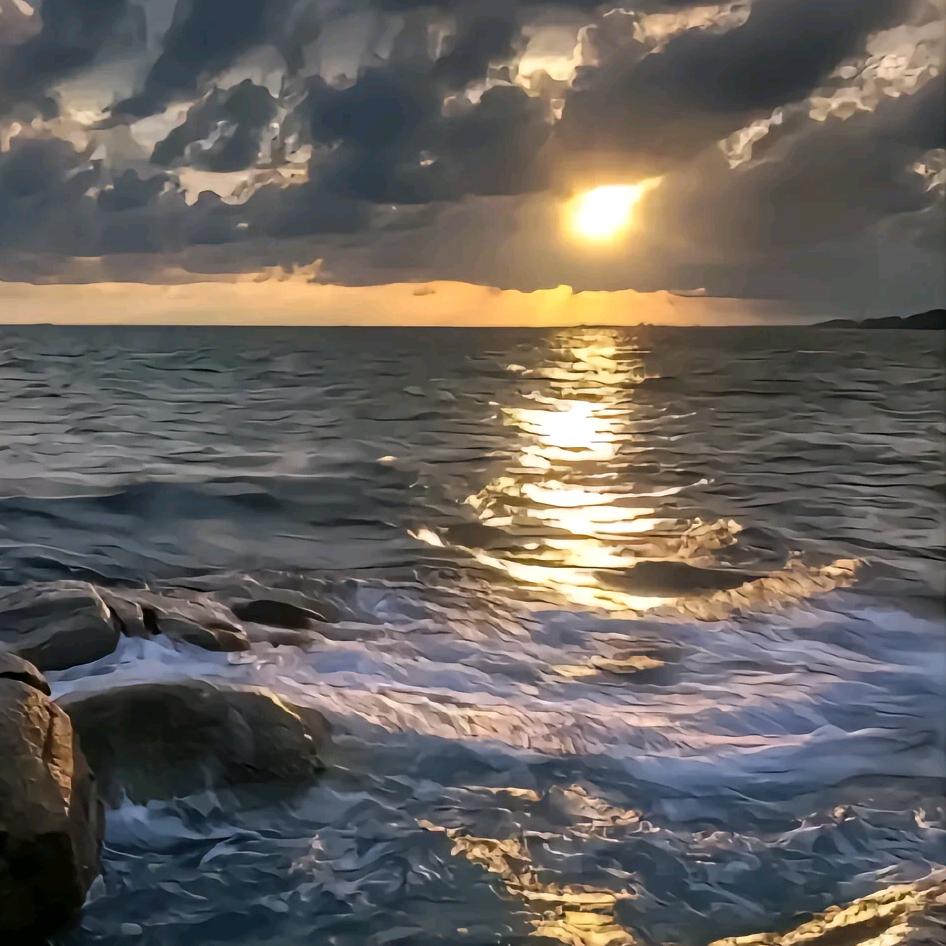漠阳Mosunny