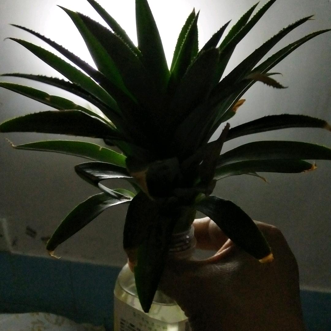 张大姐