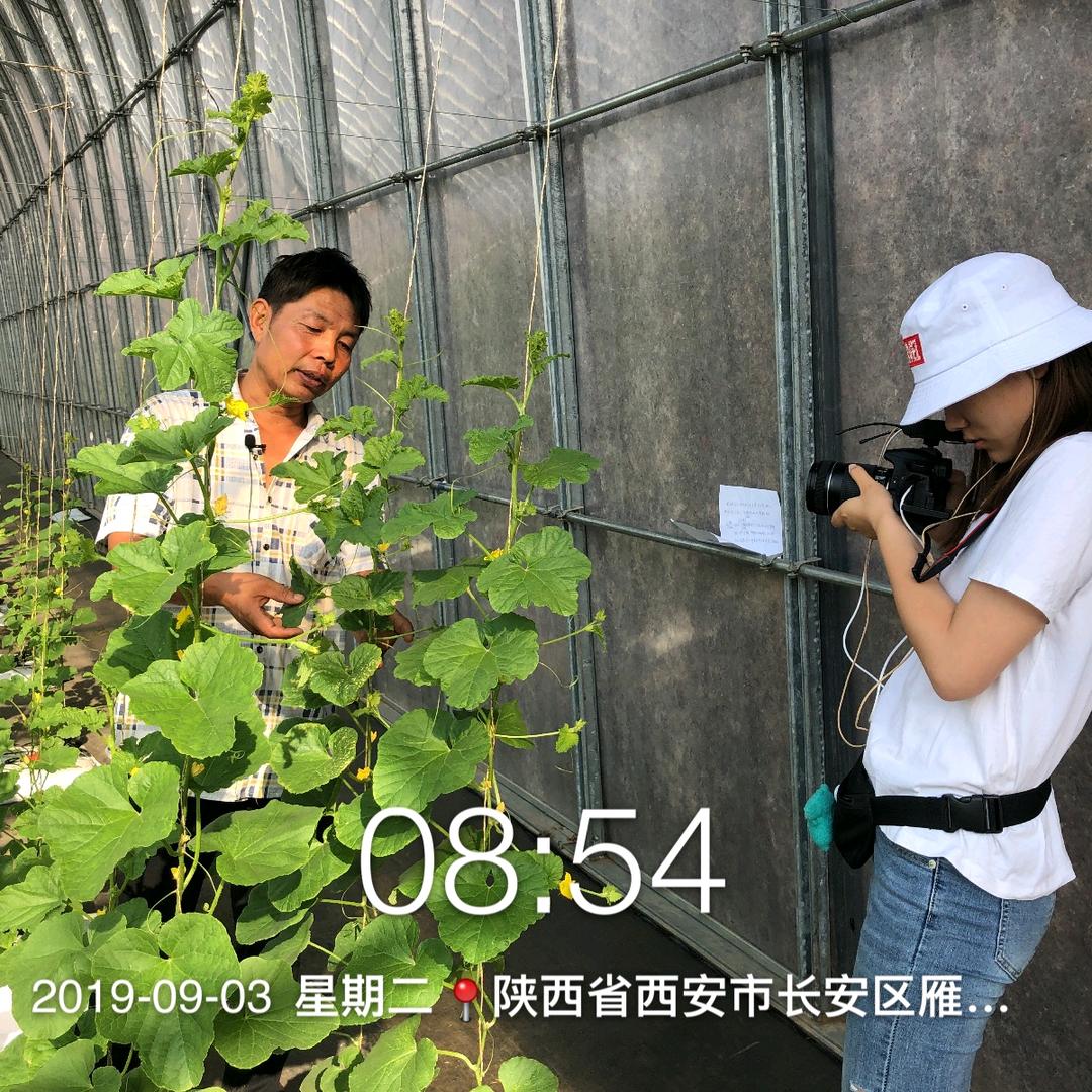 .🎆zhangxu⁹²⁸¹