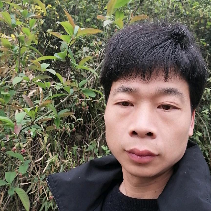 张家界有缘人