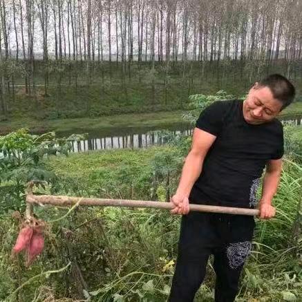 二手车买卖，李多