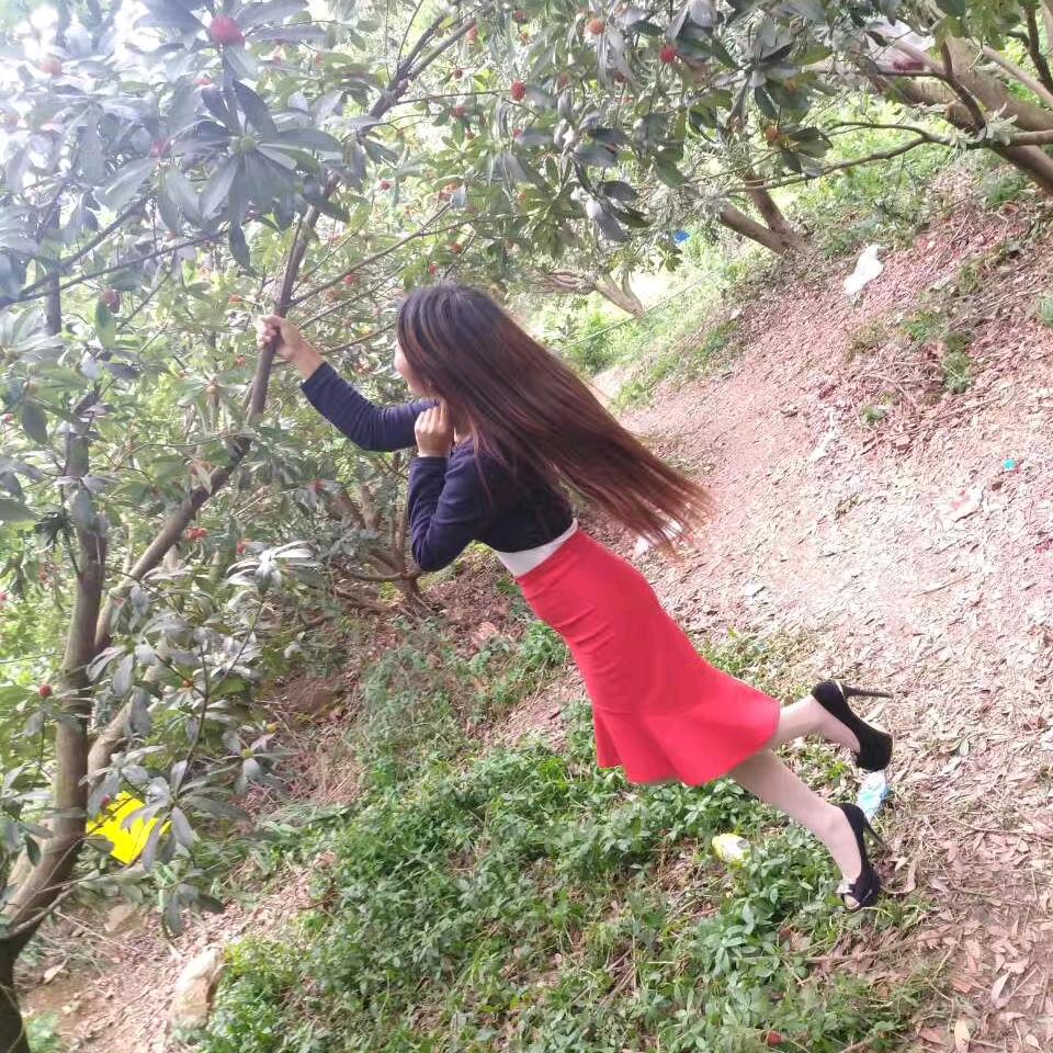 小星星      
