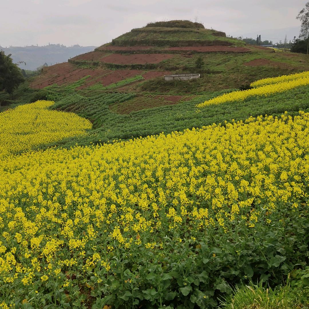 邻水人在山城