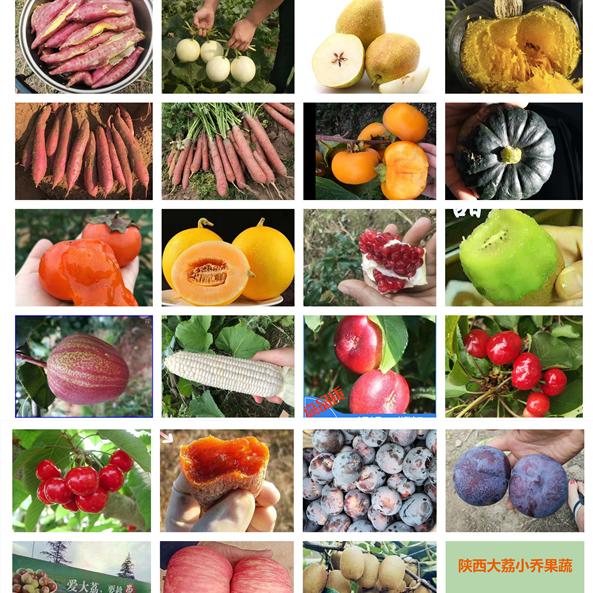 唐汉果蔬企业店