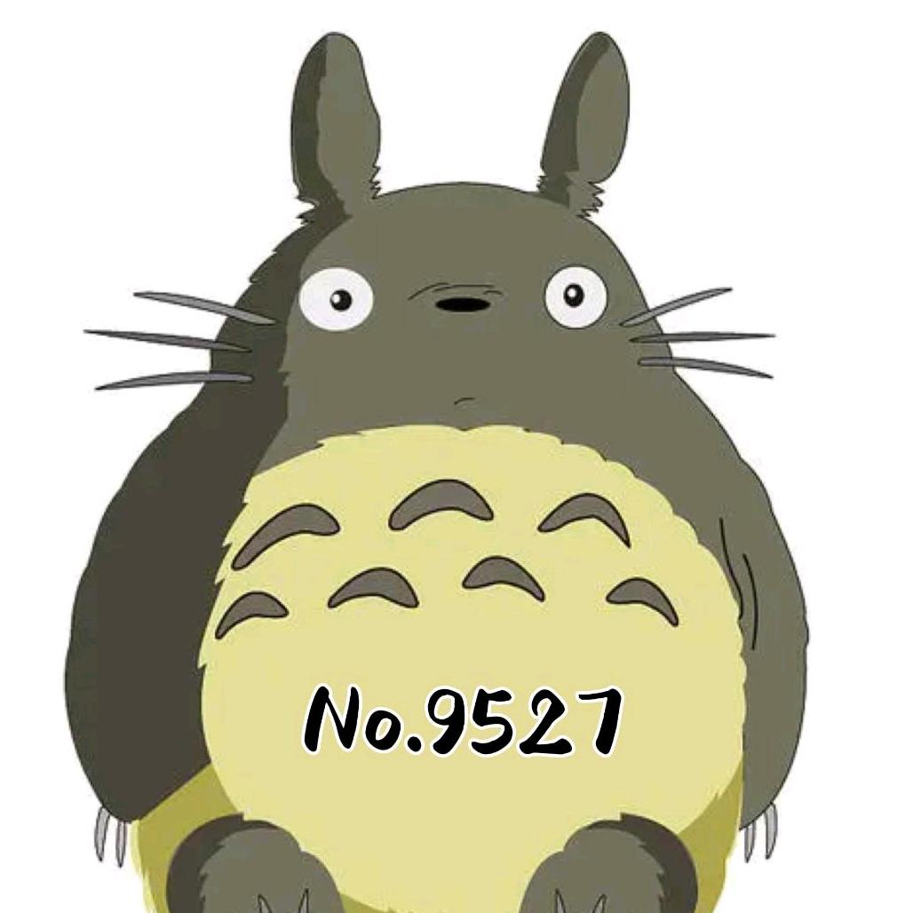 Totoro9527