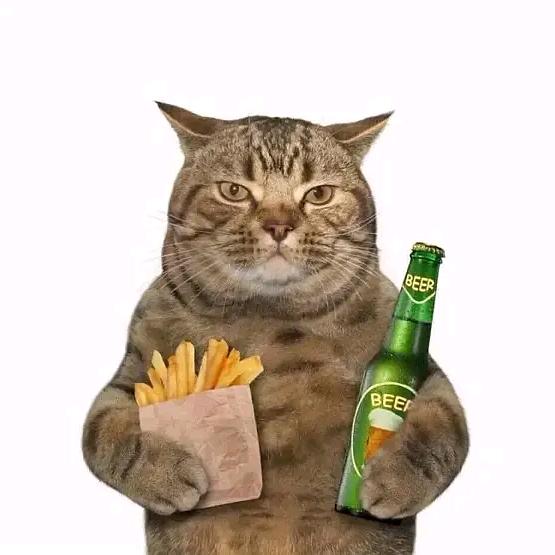 古德儿拜
