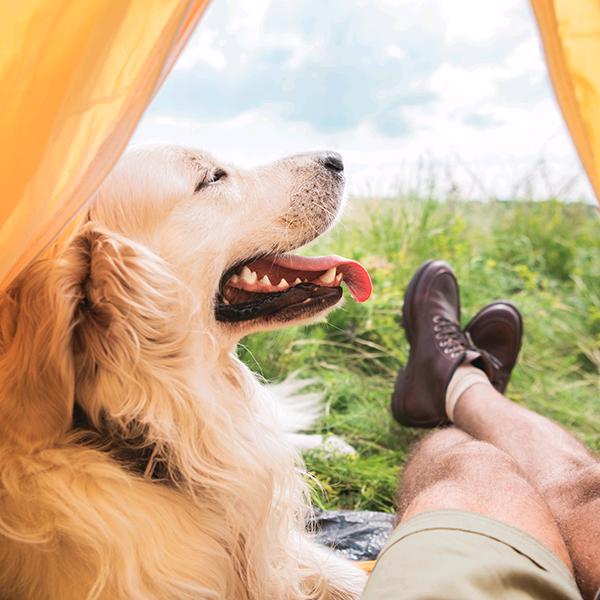 国家，工作人员