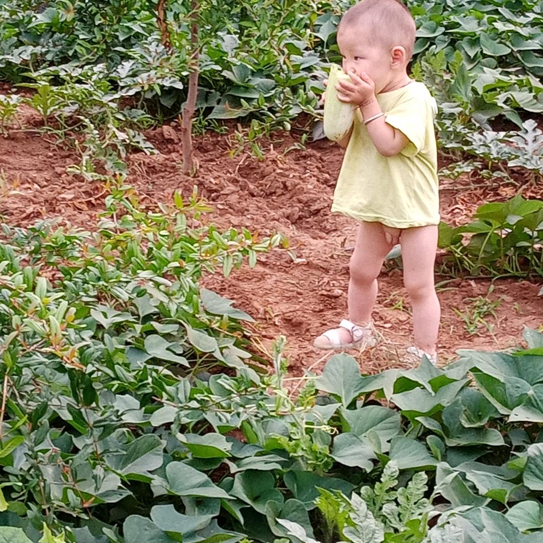 顺利成功