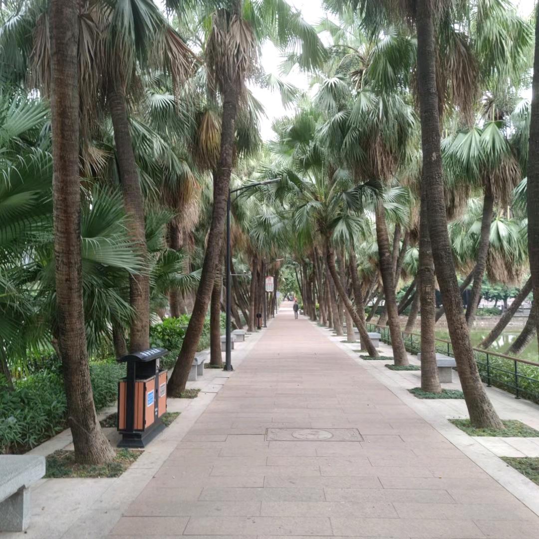 此情永不逾べ