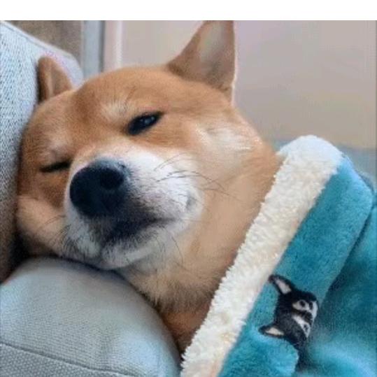小玲玲