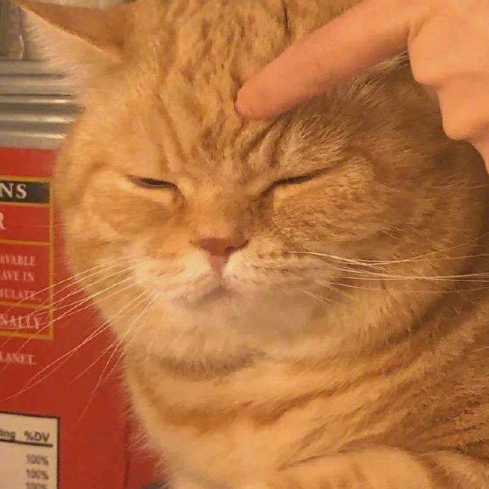 玉米糊糊