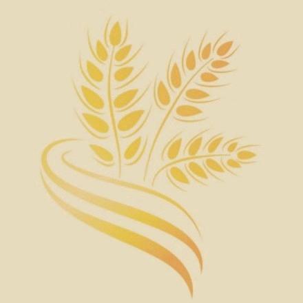 杨洋红白事大全