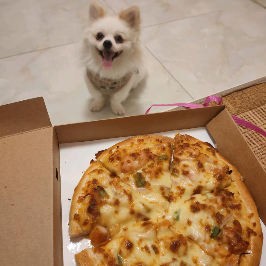 🌈崔皮小蛋糕🌈🌈