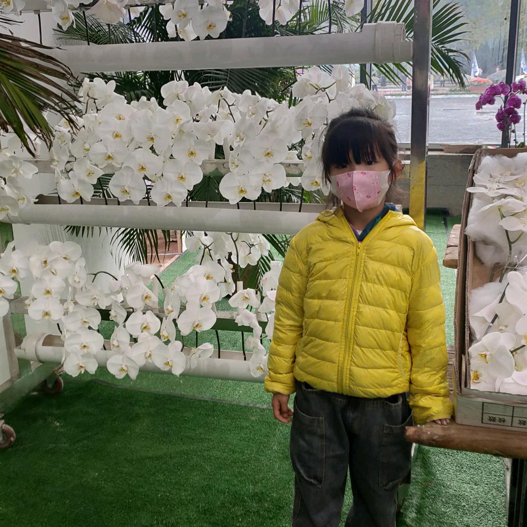 春风得意