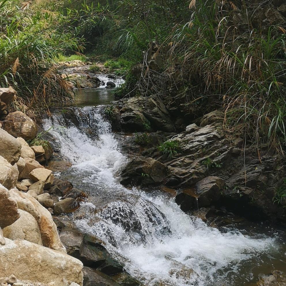 鸿塘供水，周（安徽）