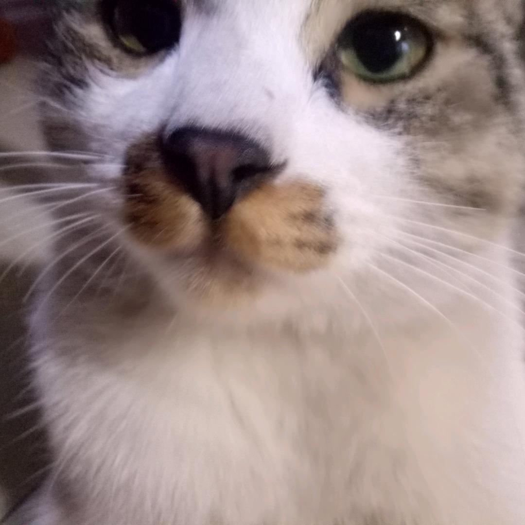 How  are  you?