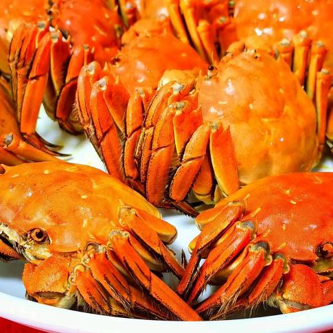 洪泽湖小龙虾