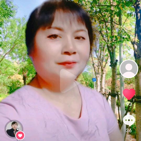 冬菊