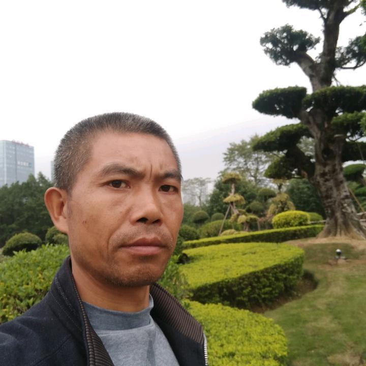 自然学（代清建）坚决反腐广西天峨县人