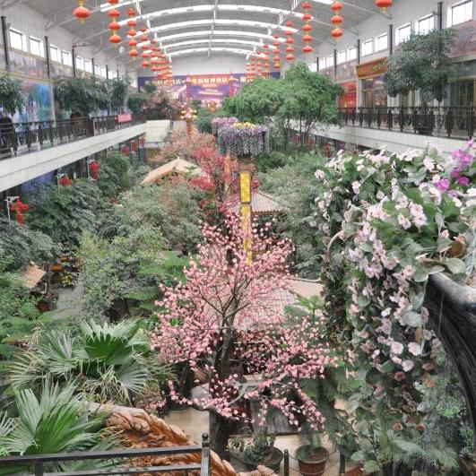 酒泉植物园