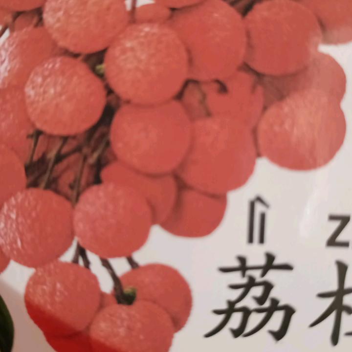 白又白