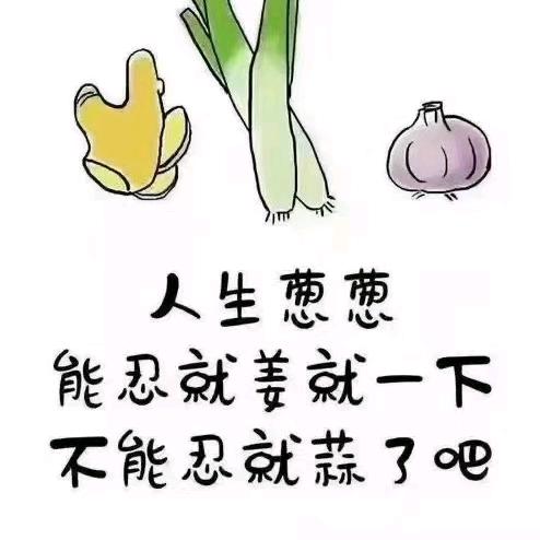 痞子蔡