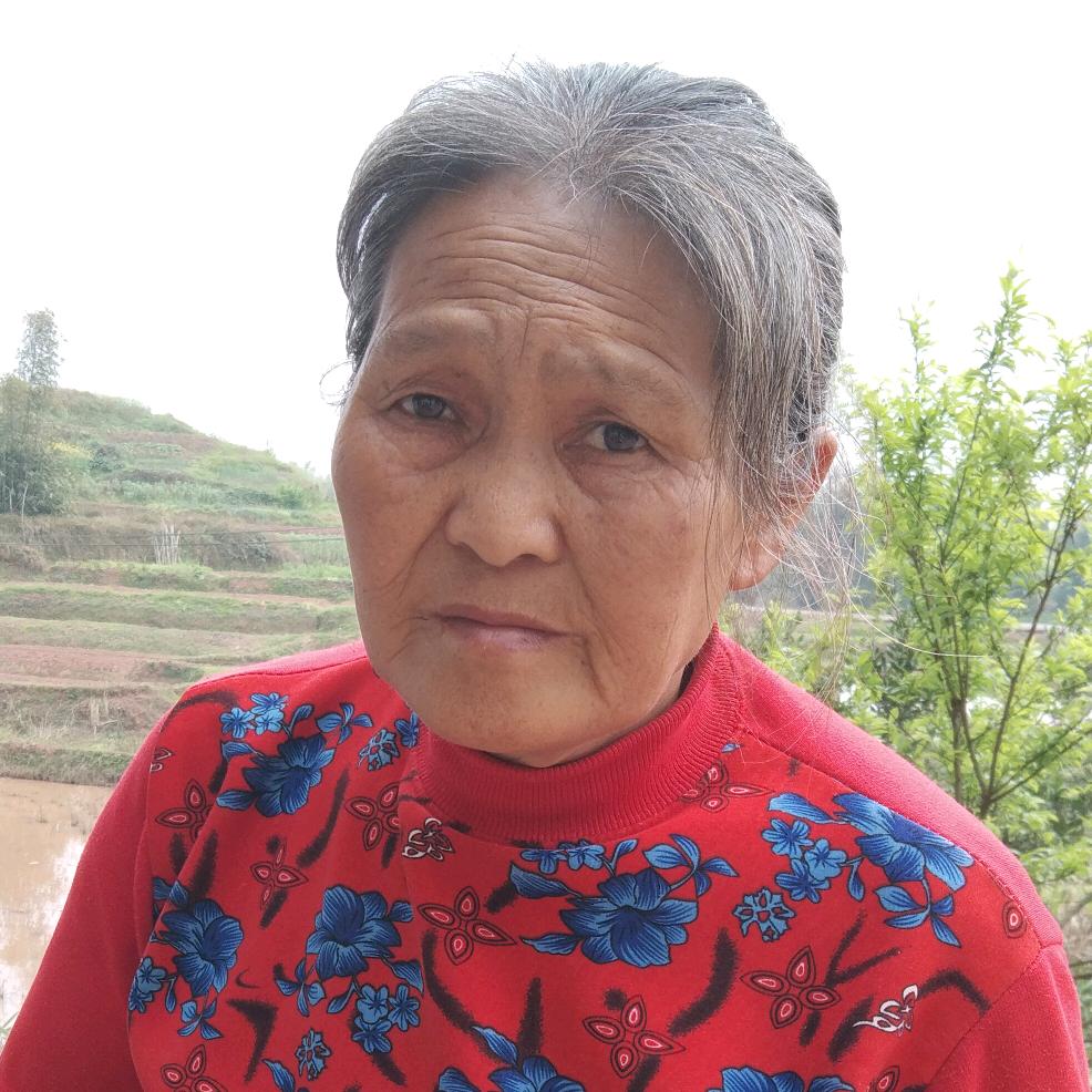 范妈妈