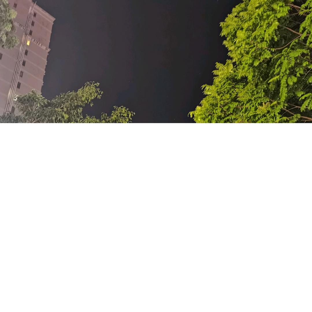 ．X