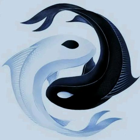 不会断线の风