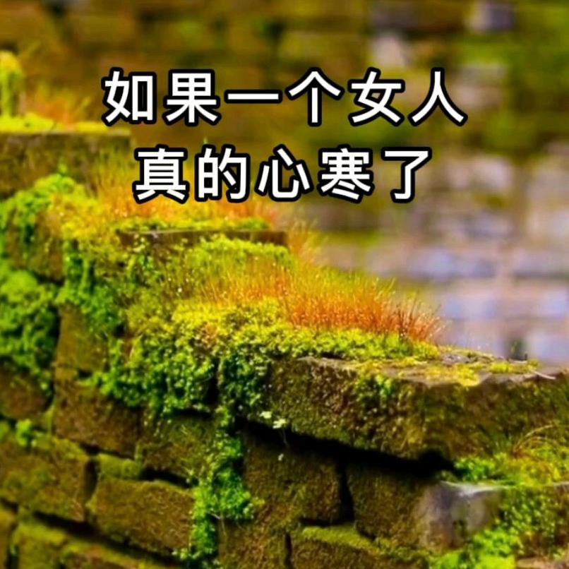 独恋烟花泪
