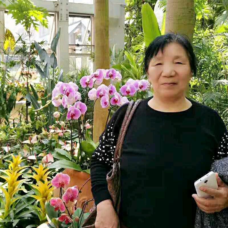 楊大姐