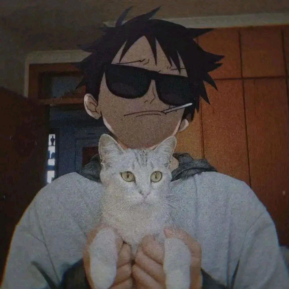 平头哥*