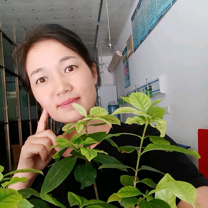 丁姐爱分享