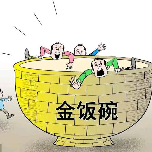 金喜鹊⁷²⁷