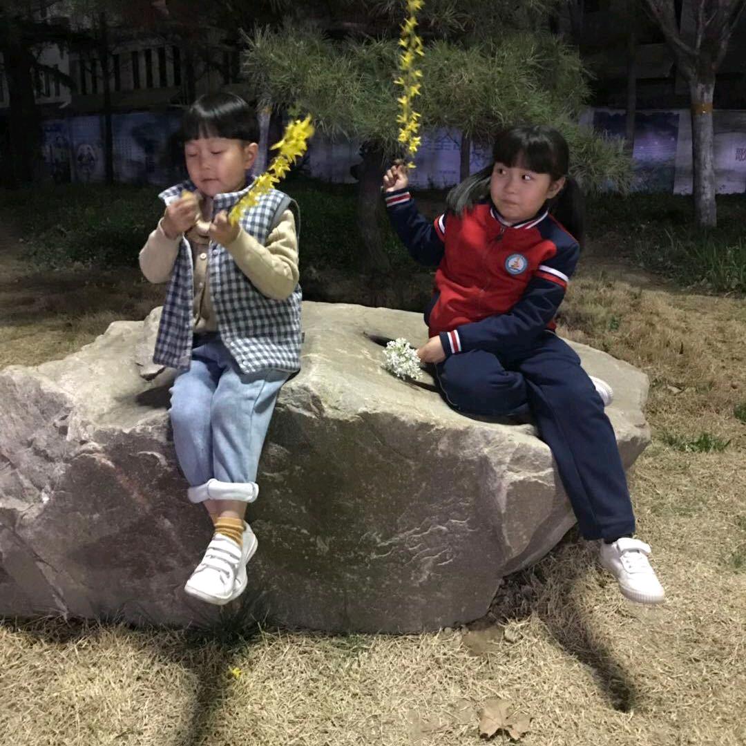 悲欢自渡