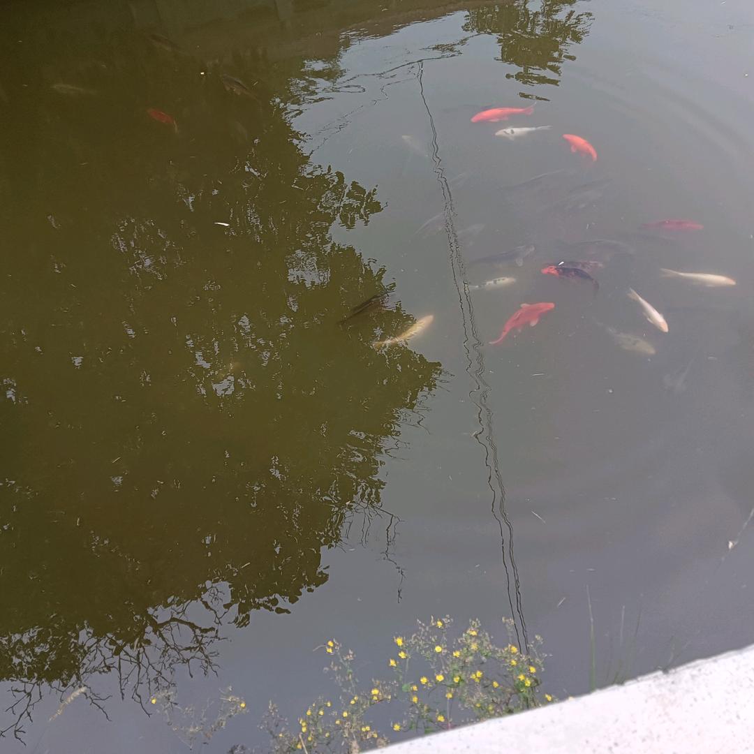用户4989046435179静心