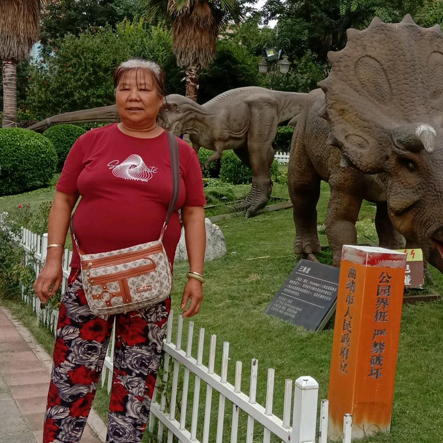风见
