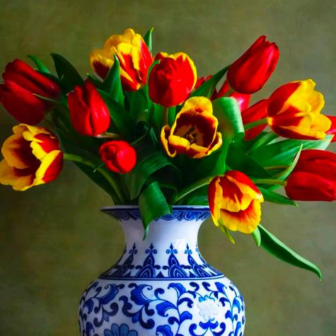 用户，单只蝴蝶