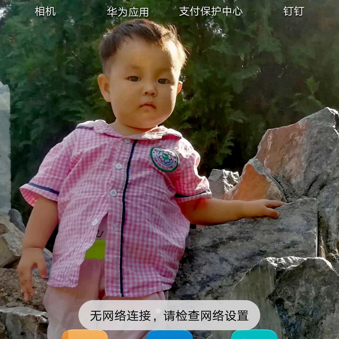 立鼎胡克