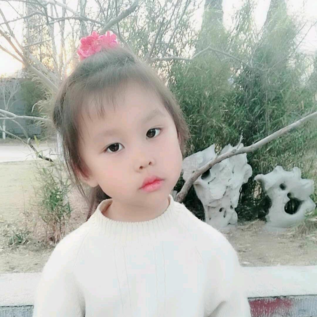 爱吃米饭的罗罗