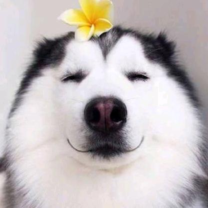 👁天生反骨👁