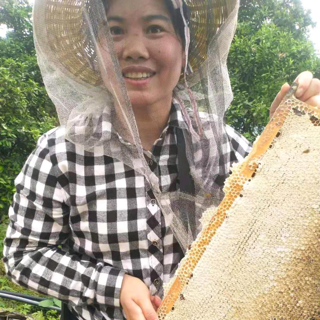 二叶蜂农