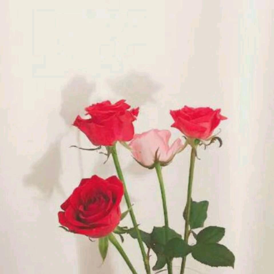 ☞敏℡☜