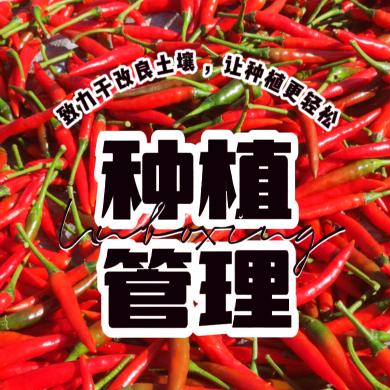 海南农技陈哲栋