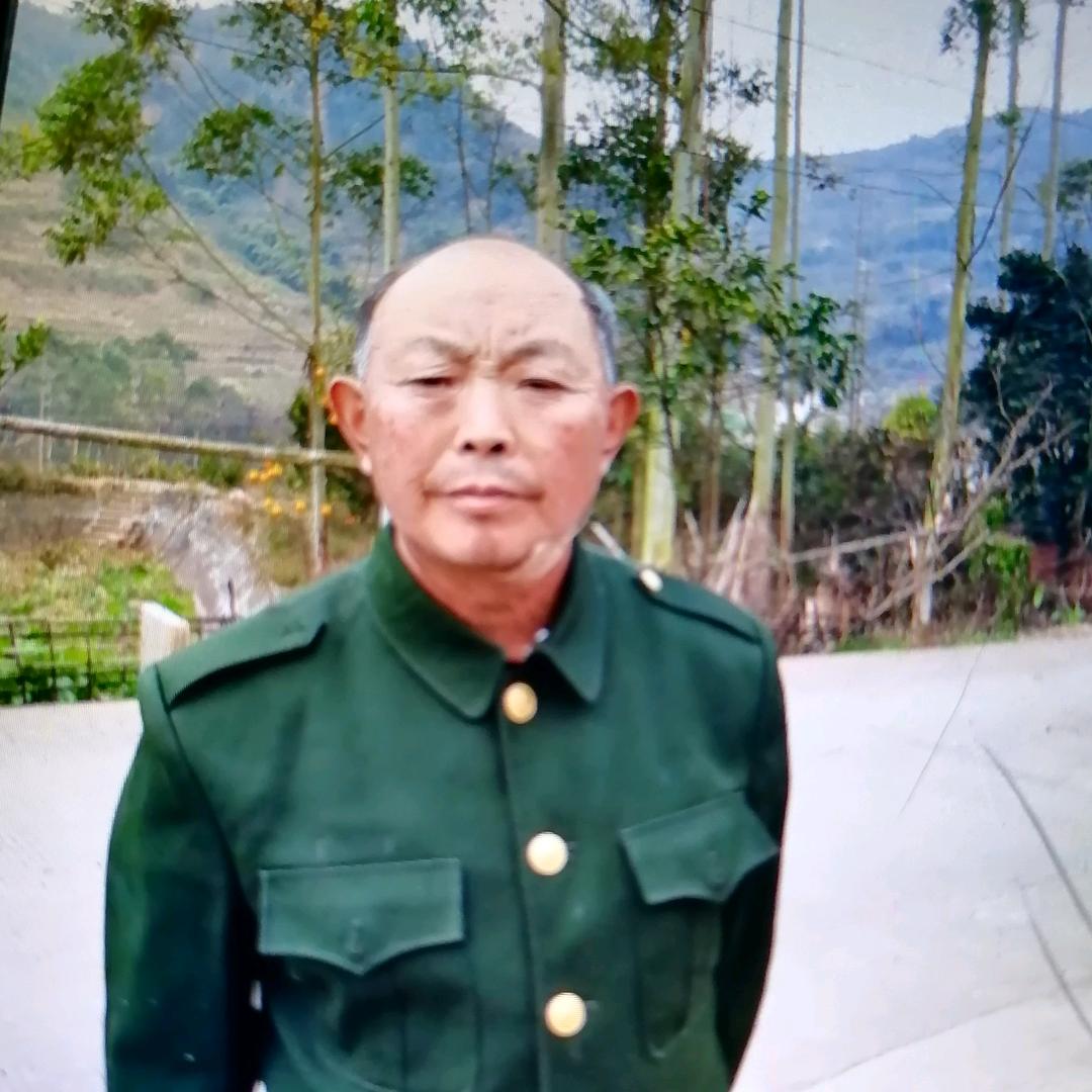 真心对你好鲁成才