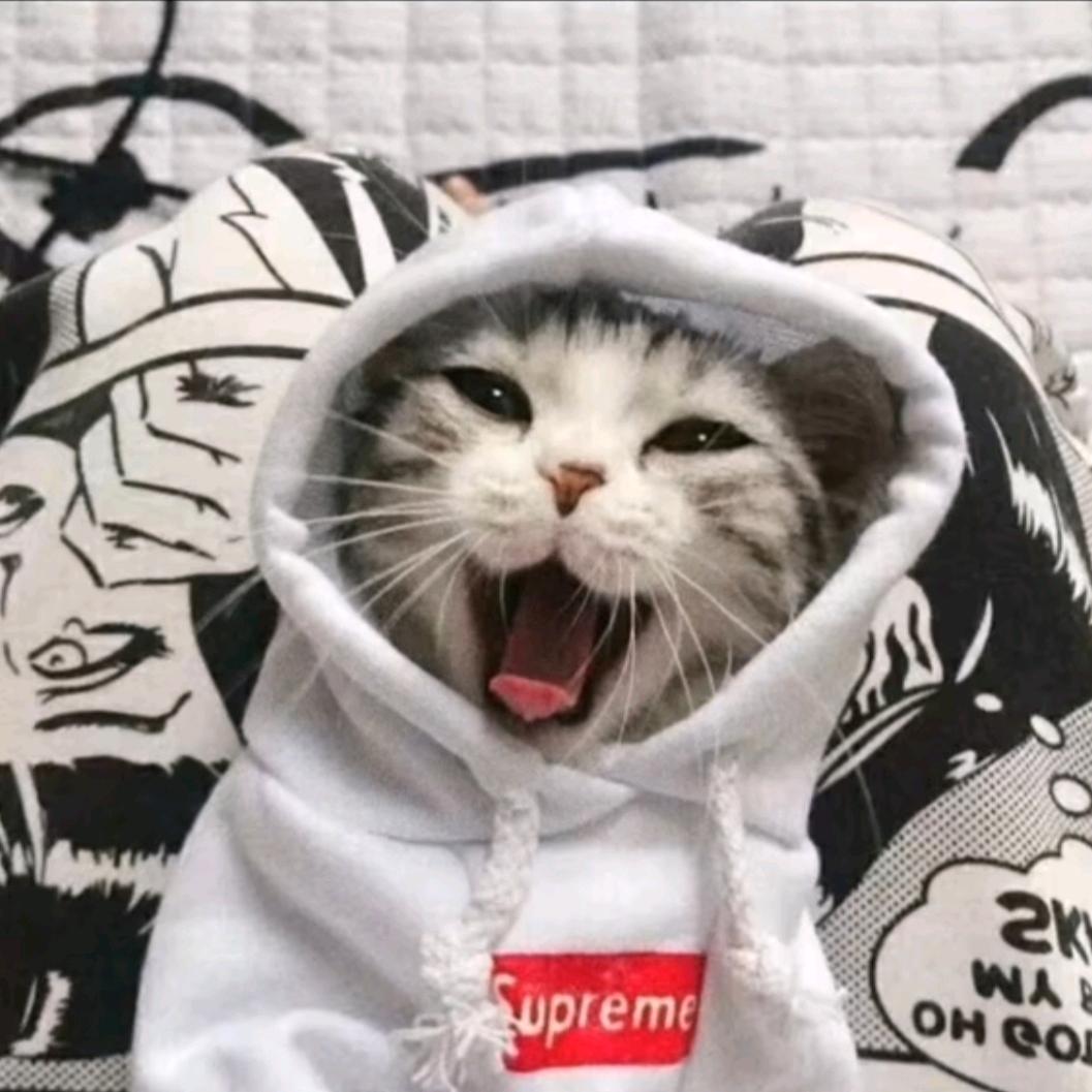 大脚巴子